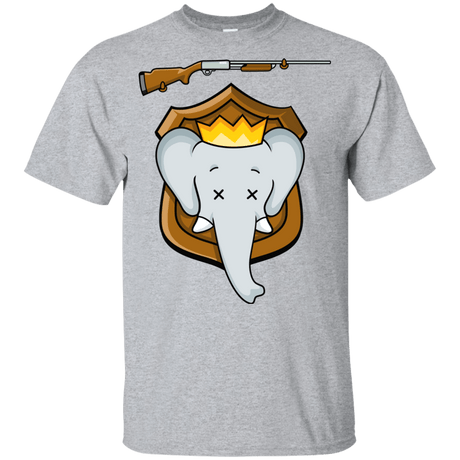 T-Shirts Sport Grey / YXS Trophy Babar Youth T-Shirt