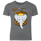 T-Shirts Premium Heather / YXS Trophy Babar Youth Triblend T-Shirt