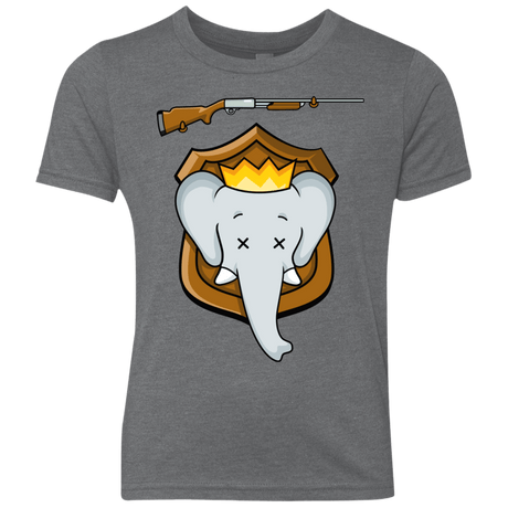 T-Shirts Premium Heather / YXS Trophy Babar Youth Triblend T-Shirt