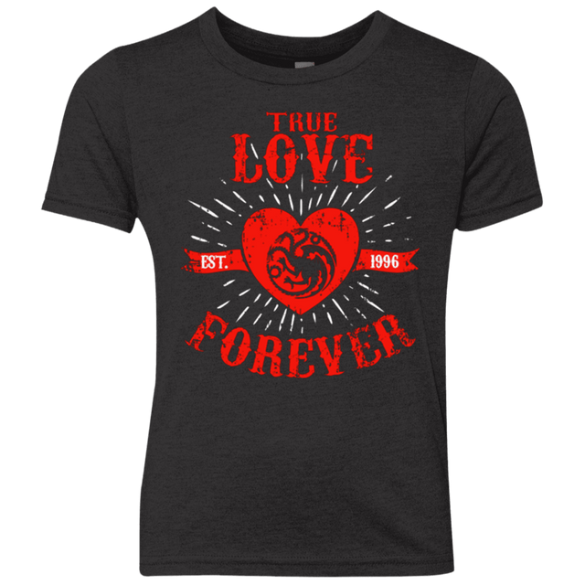 T-Shirts Vintage Black / YXS True Love Forever Dragon Youth Triblend T-Shirt