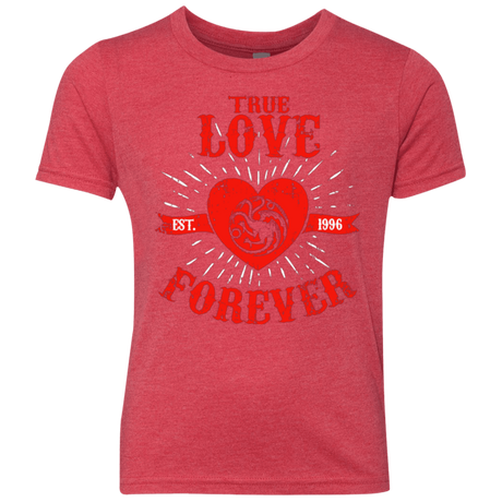 T-Shirts Vintage Red / YXS True Love Forever Dragon Youth Triblend T-Shirt