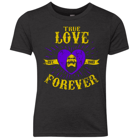 T-Shirts Vintage Black / YXS True Love Forever Masters Youth Triblend T-Shirt