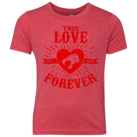T-Shirts Vintage Red / YXS True Love Forever Thunder Youth Triblend T-Shirt