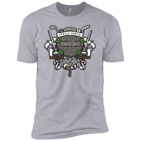 T-Shirts Heather Grey / YXS Turtle Power! Boys Premium T-Shirt