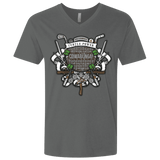 T-Shirts Heavy Metal / X-Small Turtle Power! Men's Premium V-Neck