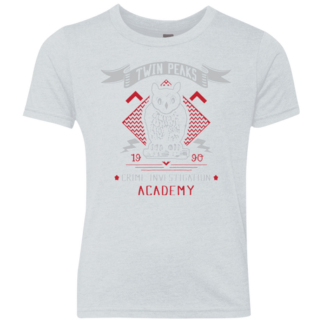 T-Shirts Heather White / YXS Twin Peaks Academy Youth Triblend T-Shirt