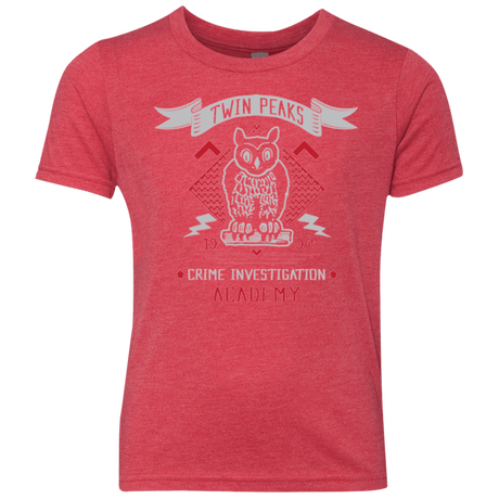 T-Shirts Vintage Red / YXS Twin Peaks Academy Youth Triblend T-Shirt