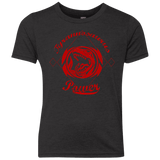 T-Shirts Vintage Black / YXS Tyrannosaurus Youth Triblend T-Shirt