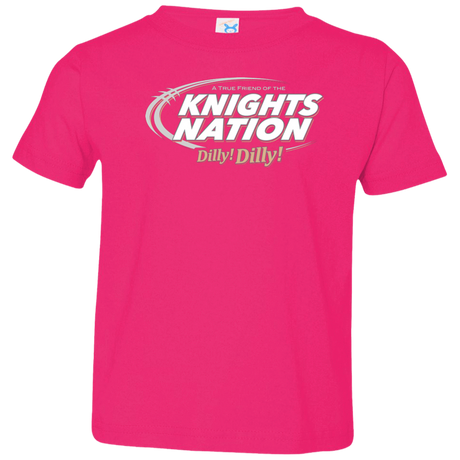 T-Shirts Hot Pink / 2T UCF Dilly Dilly Toddler Premium T-Shirt