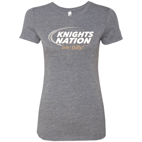 T-Shirts Premium Heather / Small UCF Dilly Dilly Women's Triblend T-Shirt