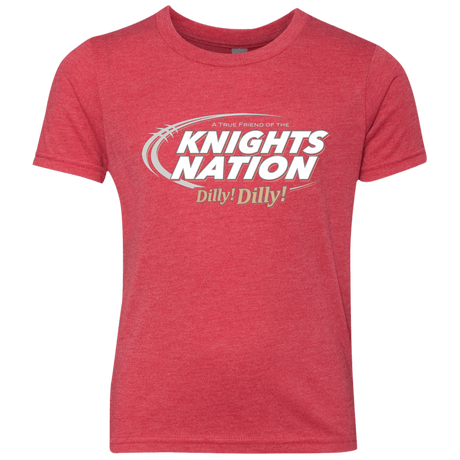 T-Shirts Vintage Red / YXS UCF Dilly Dilly Youth Triblend T-Shirt