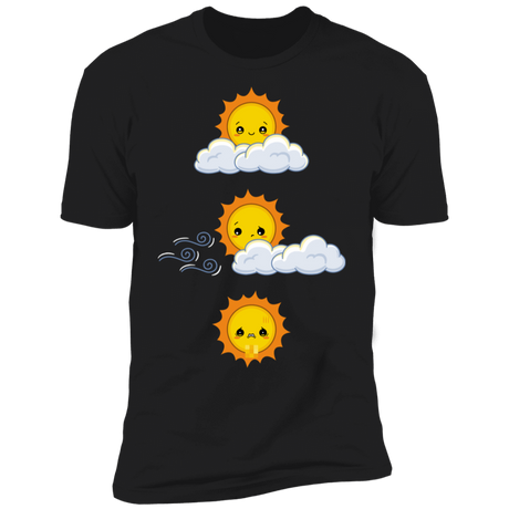 T-Shirts Black / S Unexpected Wind Men's Premium T-Shirt