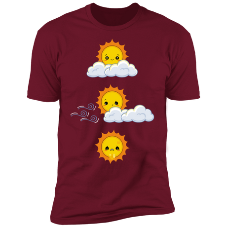 T-Shirts Cardinal / S Unexpected Wind Men's Premium T-Shirt