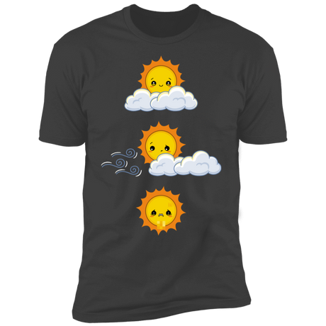 T-Shirts Heavy Metal / S Unexpected Wind Men's Premium T-Shirt