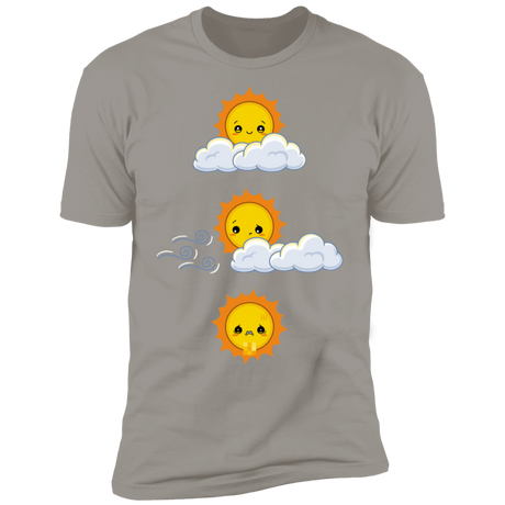 T-Shirts Light Grey / S Unexpected Wind Men's Premium T-Shirt