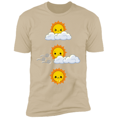 T-Shirts Sand / S Unexpected Wind Men's Premium T-Shirt