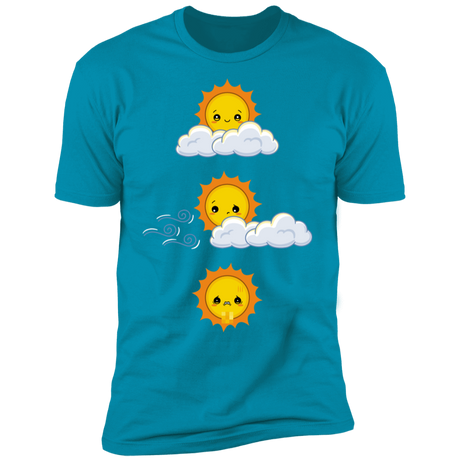 T-Shirts Turquoise / S Unexpected Wind Men's Premium T-Shirt