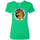 T-Shirts Envy / S Unicornsaurus-Rex Women's Triblend T-Shirt