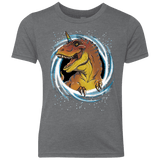 Unicornsaurus-Rex Youth Triblend T-Shirt
