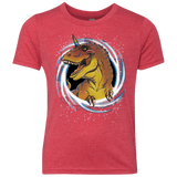 Unicornsaurus-Rex Youth Triblend T-Shirt