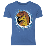 Unicornsaurus-Rex Youth Triblend T-Shirt