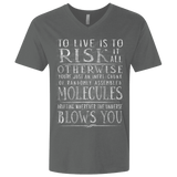 T-Shirts Heavy Metal / X-Small Universe Blows Men's Premium V-Neck