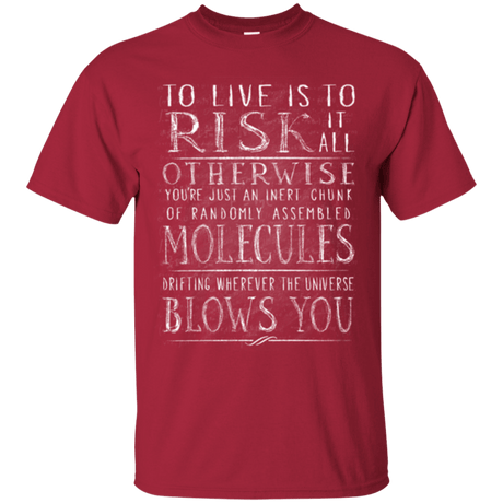 T-Shirts Cardinal / Small Universe Blows T-Shirt