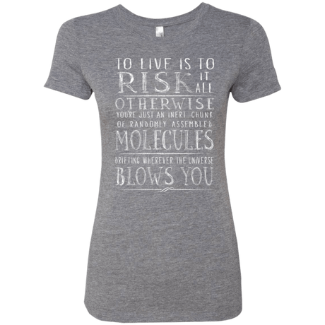 T-Shirts Premium Heather / Small Universe Blows Women's Triblend T-Shirt