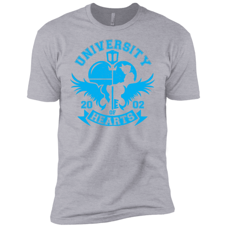 T-Shirts Heather Grey / YXS University of Hearts Boys Premium T-Shirt