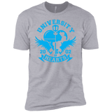 T-Shirts Heather Grey / YXS University of Hearts Boys Premium T-Shirt