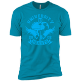 T-Shirts Turquoise / YXS University of Hearts Boys Premium T-Shirt