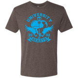 T-Shirts Macchiato / Small University of Hearts Men's Triblend T-Shirt