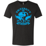 T-Shirts Vintage Black / Small University of Hearts Men's Triblend T-Shirt