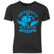 T-Shirts Vintage Black / YXS University of Hearts Youth Triblend T-Shirt