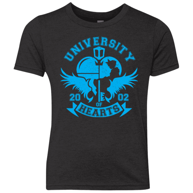 T-Shirts Vintage Black / YXS University of Hearts Youth Triblend T-Shirt