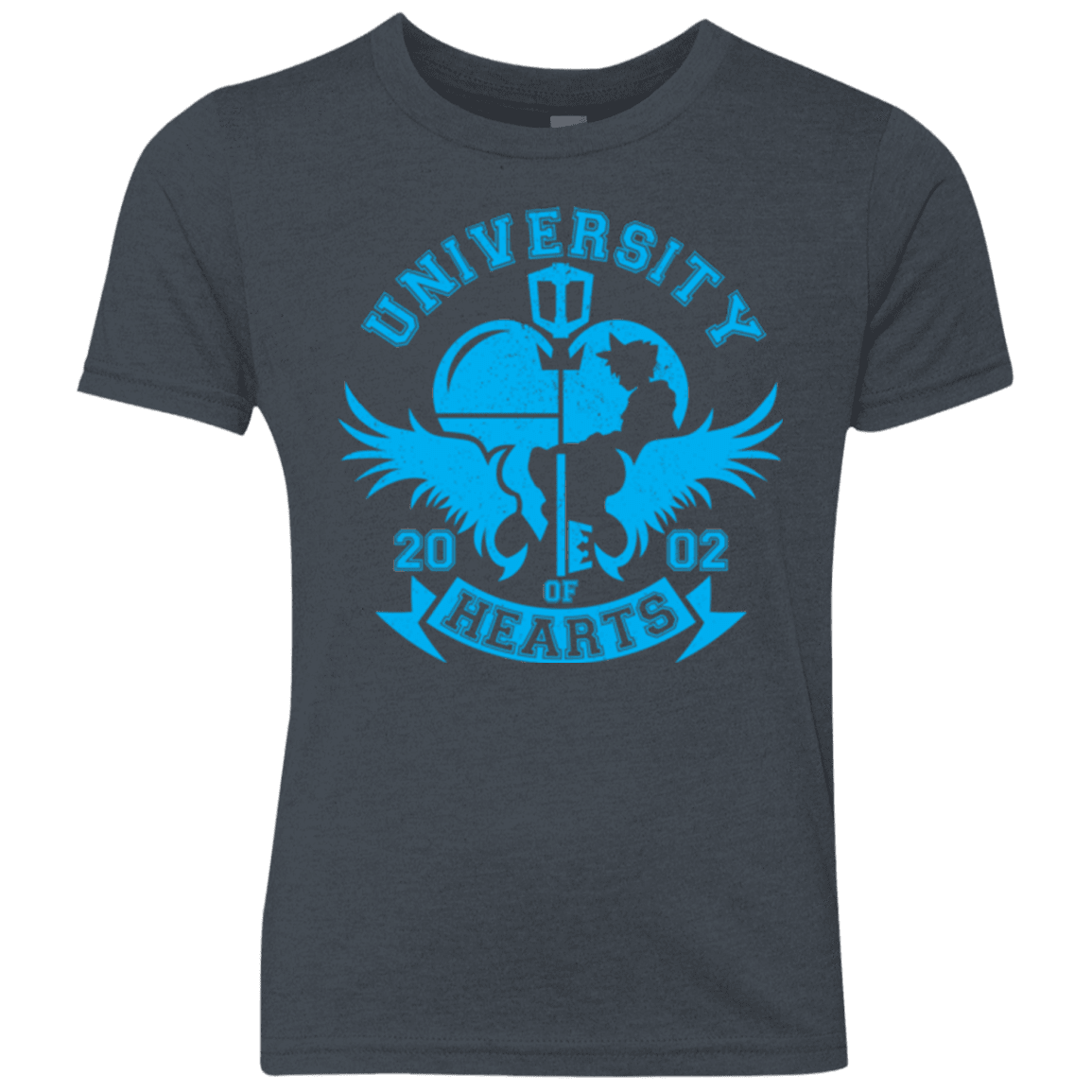 T-Shirts Vintage Navy / YXS University of Hearts Youth Triblend T-Shirt