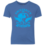 T-Shirts Vintage Royal / YXS University of Hearts Youth Triblend T-Shirt