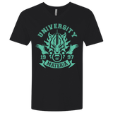 T-Shirts Black / X-Small University of Materia Men's Premium V-Neck