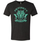 T-Shirts Vintage Black / Small University of Materia Men's Triblend T-Shirt