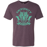 T-Shirts Vintage Purple / Small University of Materia Men's Triblend T-Shirt