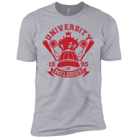 T-Shirts Heather Grey / YXS University of Melodies Boys Premium T-Shirt