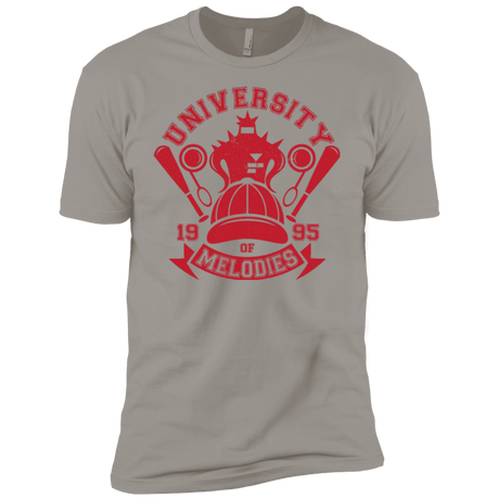 T-Shirts Light Grey / YXS University of Melodies Boys Premium T-Shirt