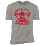 T-Shirts Light Grey / YXS University of Melodies Boys Premium T-Shirt