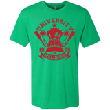 T-Shirts Envy / Small University of Melodies Men's Triblend T-Shirt