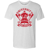T-Shirts Heather White / Small University of Melodies Men's Triblend T-Shirt