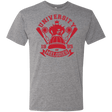 T-Shirts Premium Heather / Small University of Melodies Men's Triblend T-Shirt