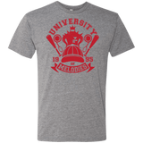 T-Shirts Premium Heather / Small University of Melodies Men's Triblend T-Shirt