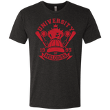 T-Shirts Vintage Black / Small University of Melodies Men's Triblend T-Shirt