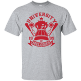 T-Shirts Sport Grey / Small University of Melodies T-Shirt