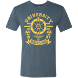 T-Shirts Indigo / Small University of Wasteland Men's Triblend T-Shirt